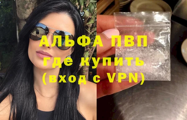 стаф Абаза