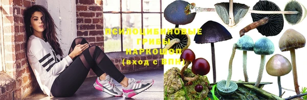 стаф Абаза