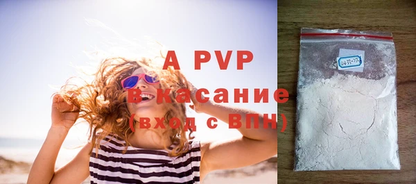 стаф Абаза