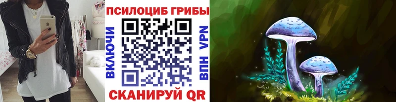 хочу МЕГА ТОР Псилоцибиновые грибы GOLDEN TEACHER Керчь