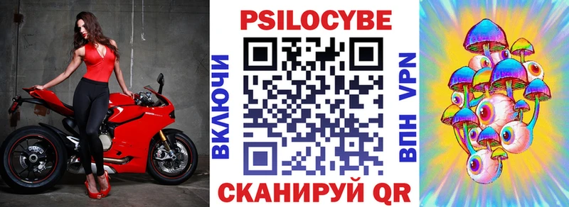 Псилоцибиновые грибы Psilocybe Керчь